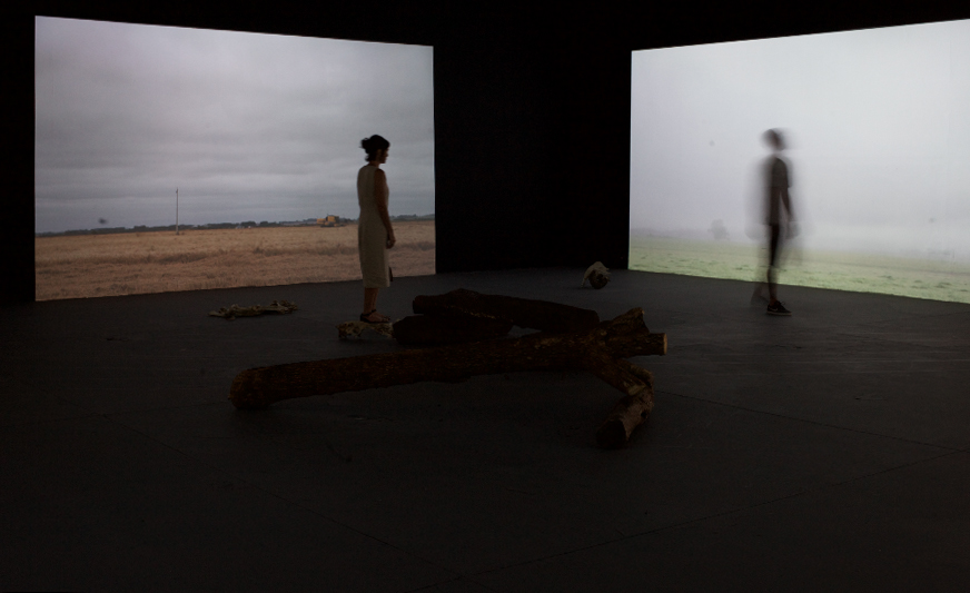 td_arroz_bruma_e_e-2