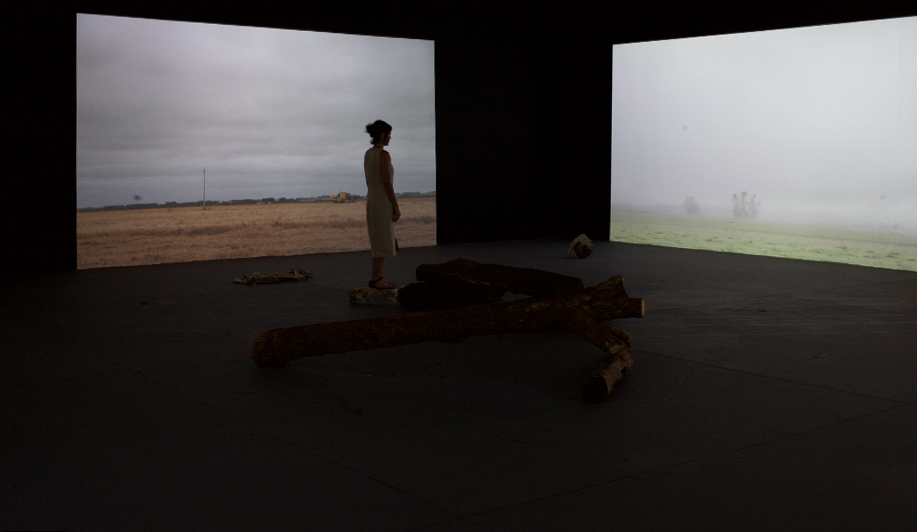 td_arroz_bruma_elisa