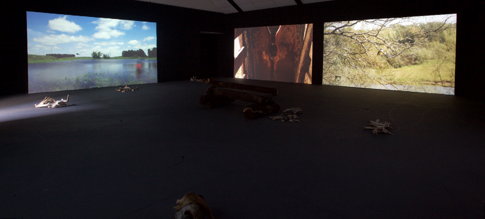 td_pesca_brete_passaro